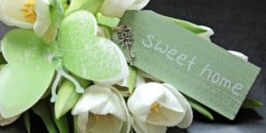 grand haven home cleaning