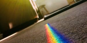 carpet cleaning in Muskegon