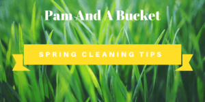 west michigan spring cleaning service