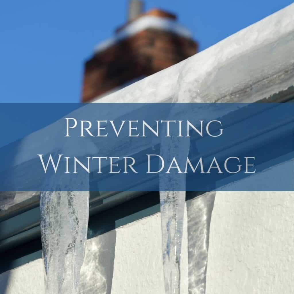 Preventing Winter Damage