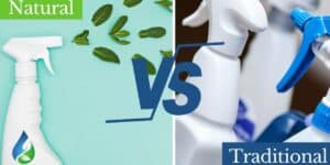 Traditional Vs Natural Cleaning